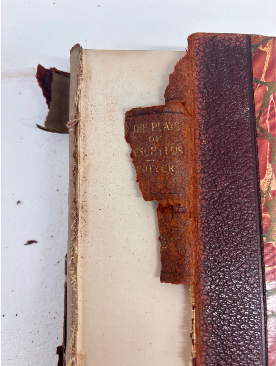 Leather Work image 4