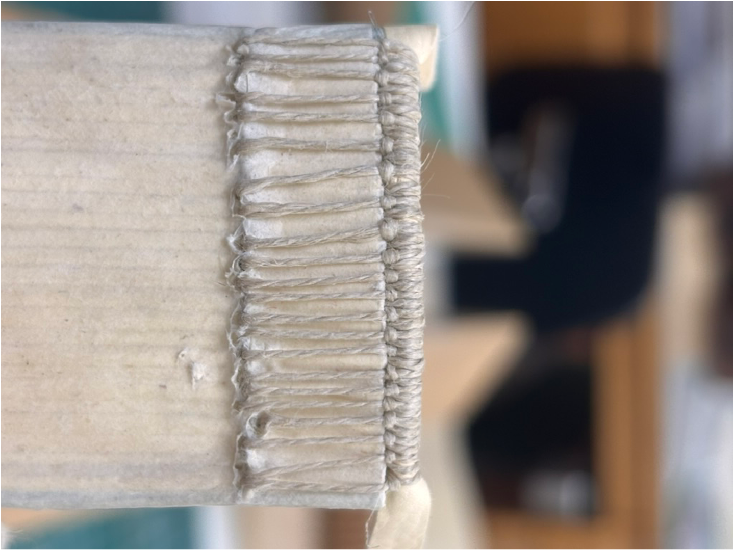 Conservation Bindings image 3