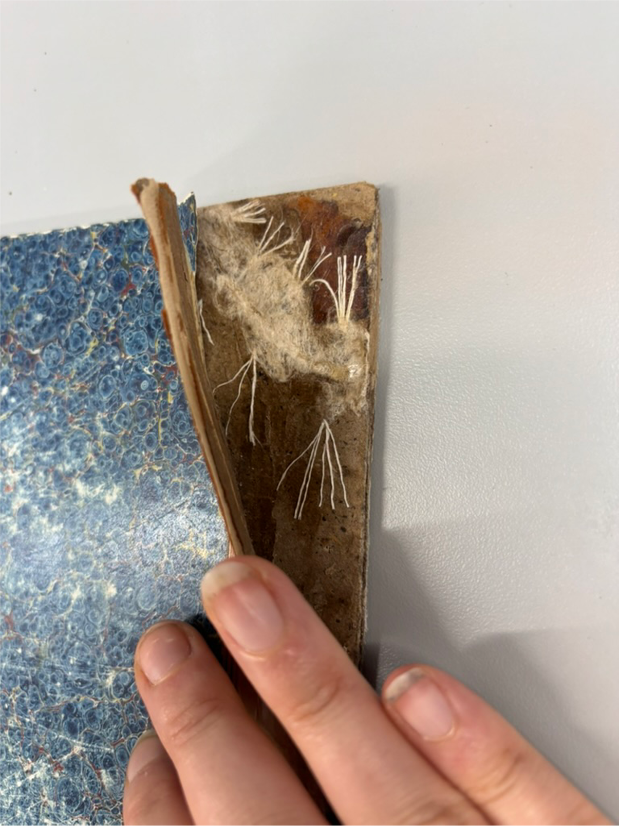 Board Reattachment image 4