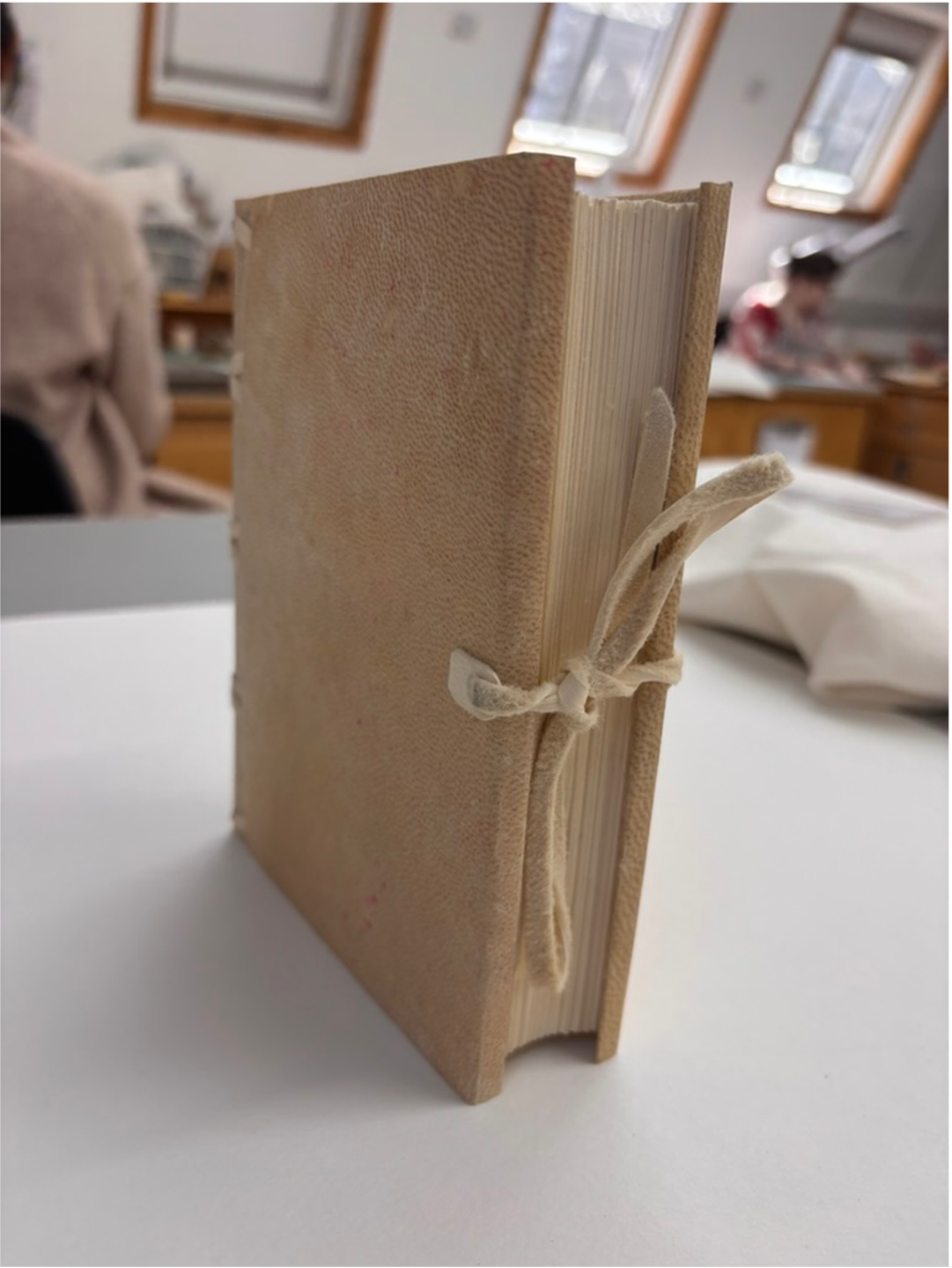 Conservation Bindings image 5