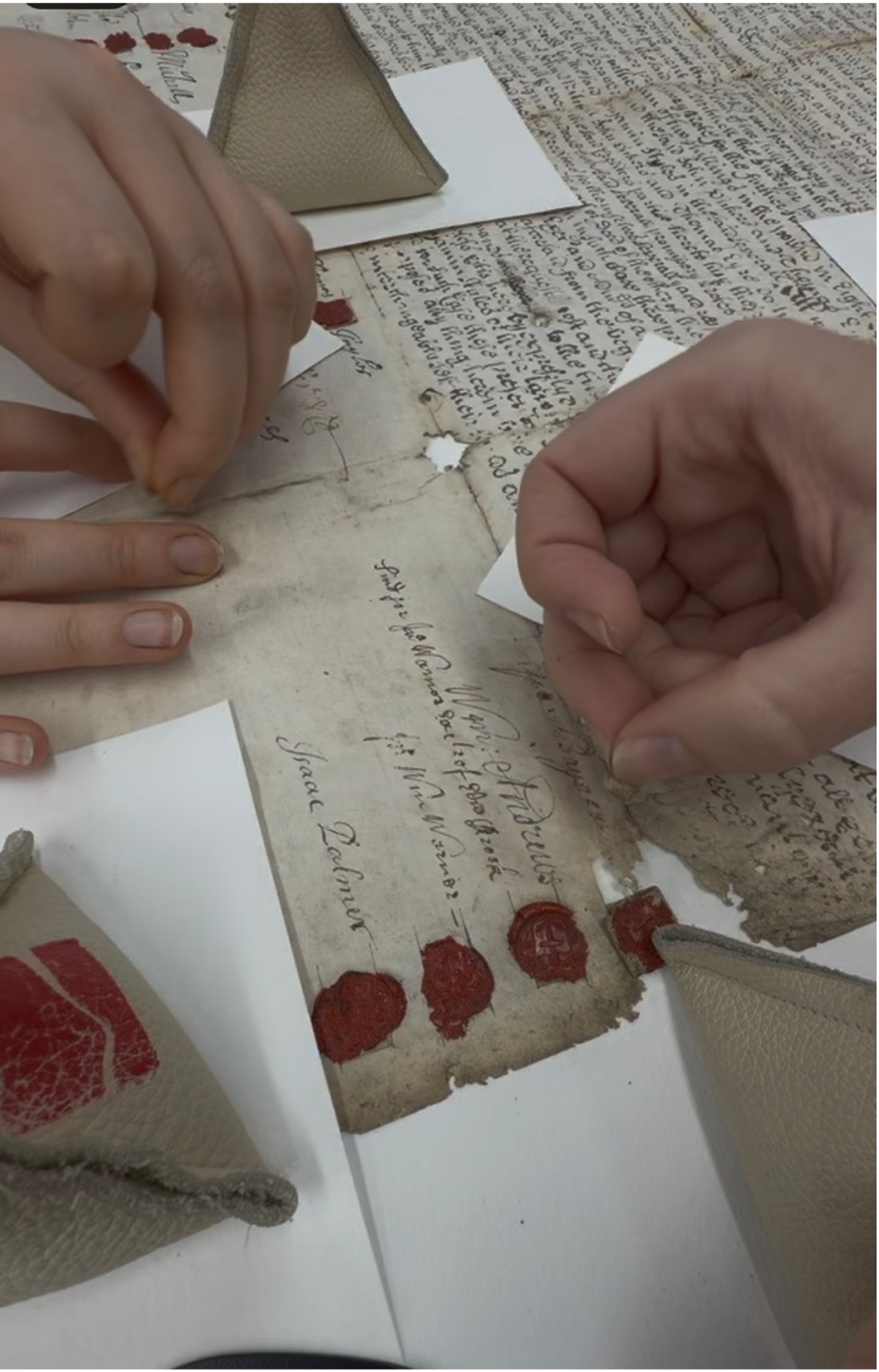 Archive Box image 3
