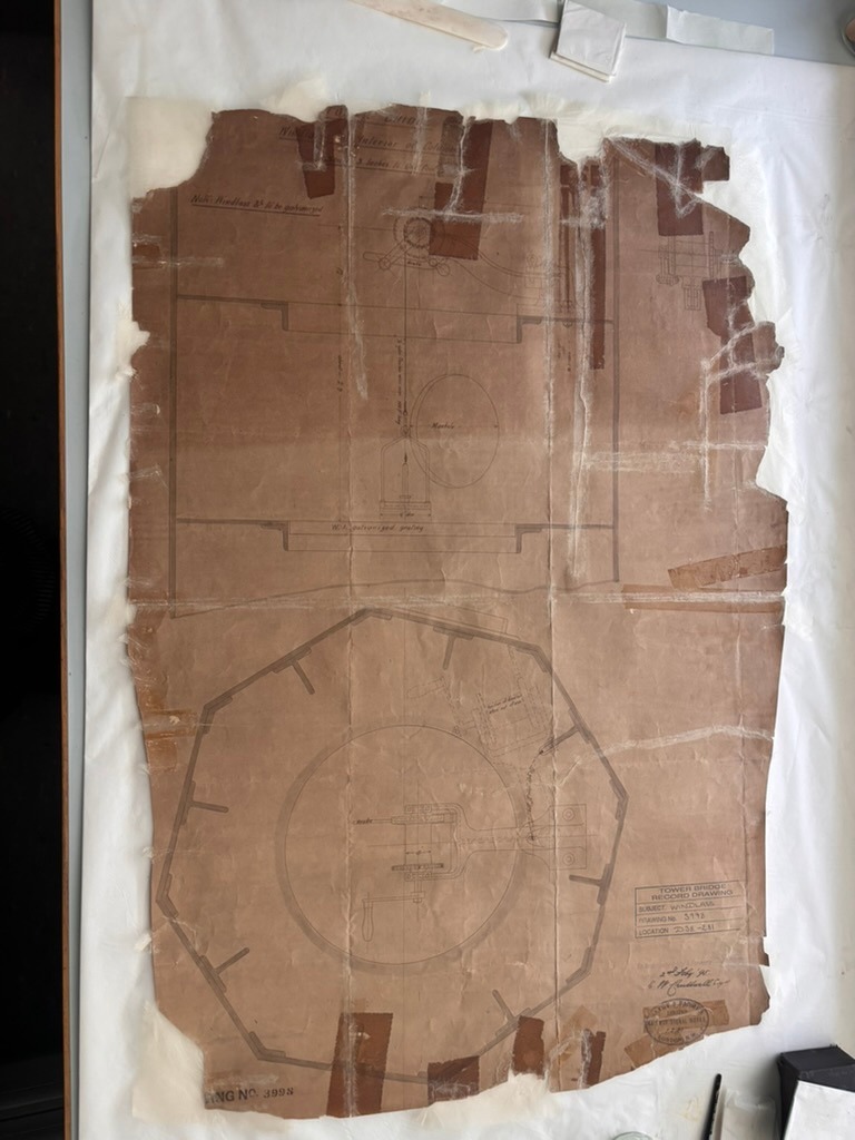 TLA image 7