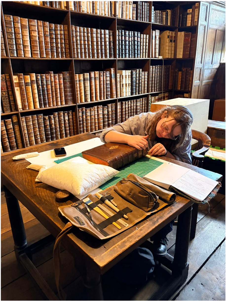 Conservation portfolio image