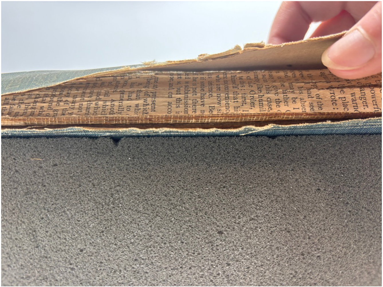 Spine Lining Investigation