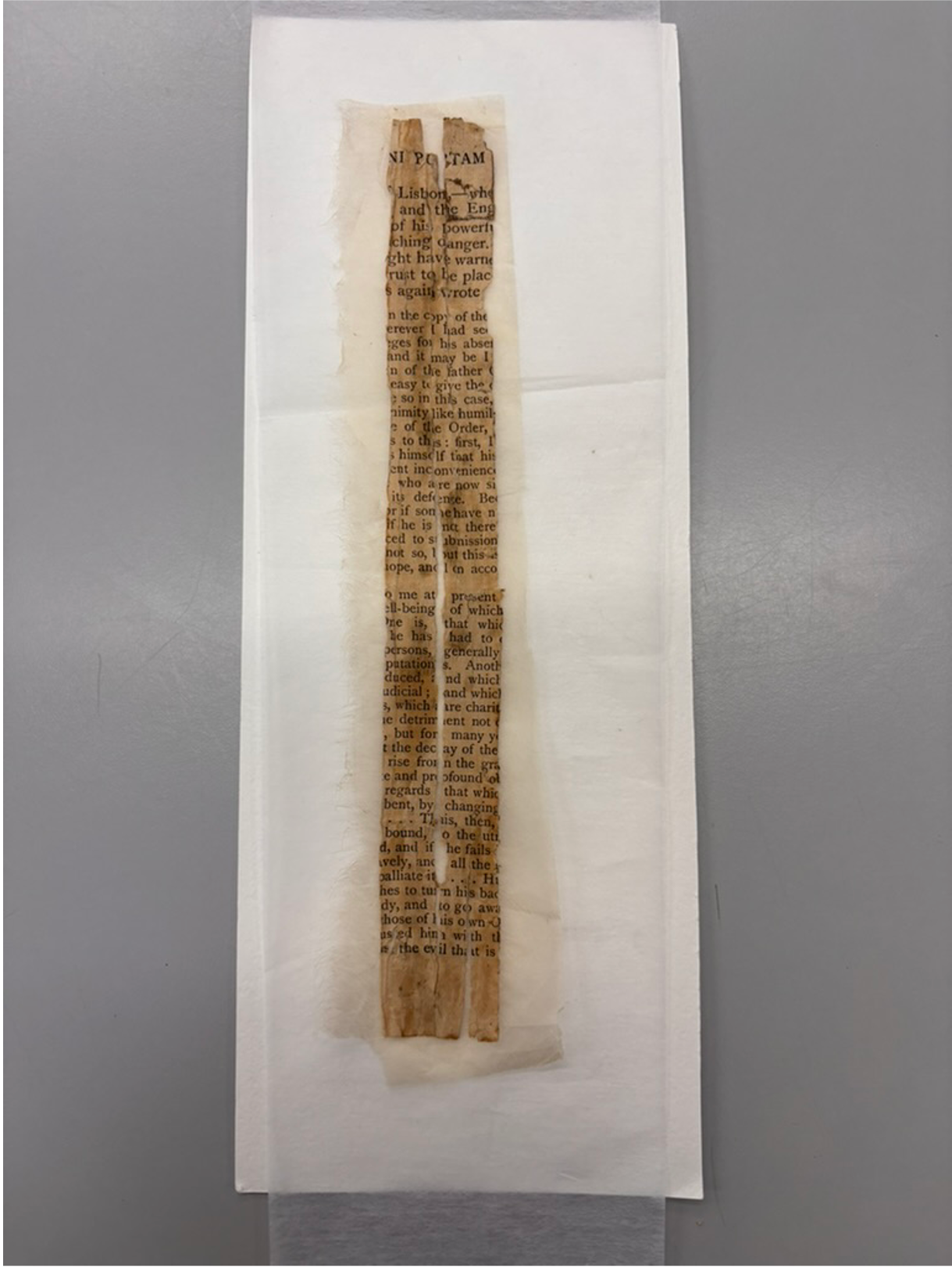 Spine Lining Investigation image 2
