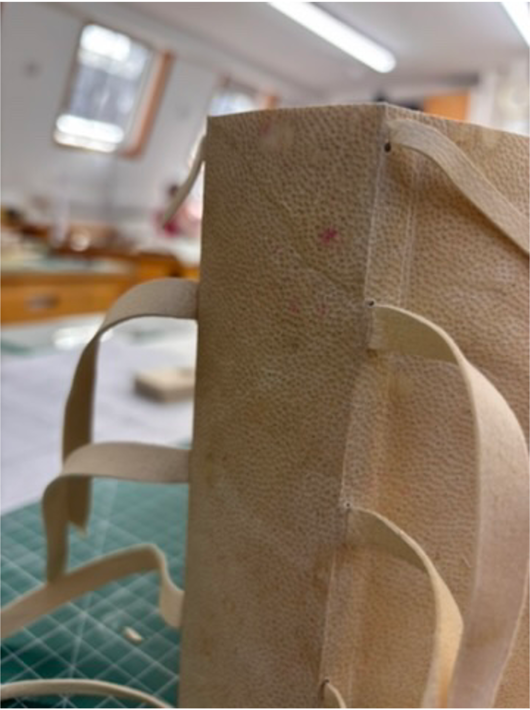 Conservation Bindings image 4