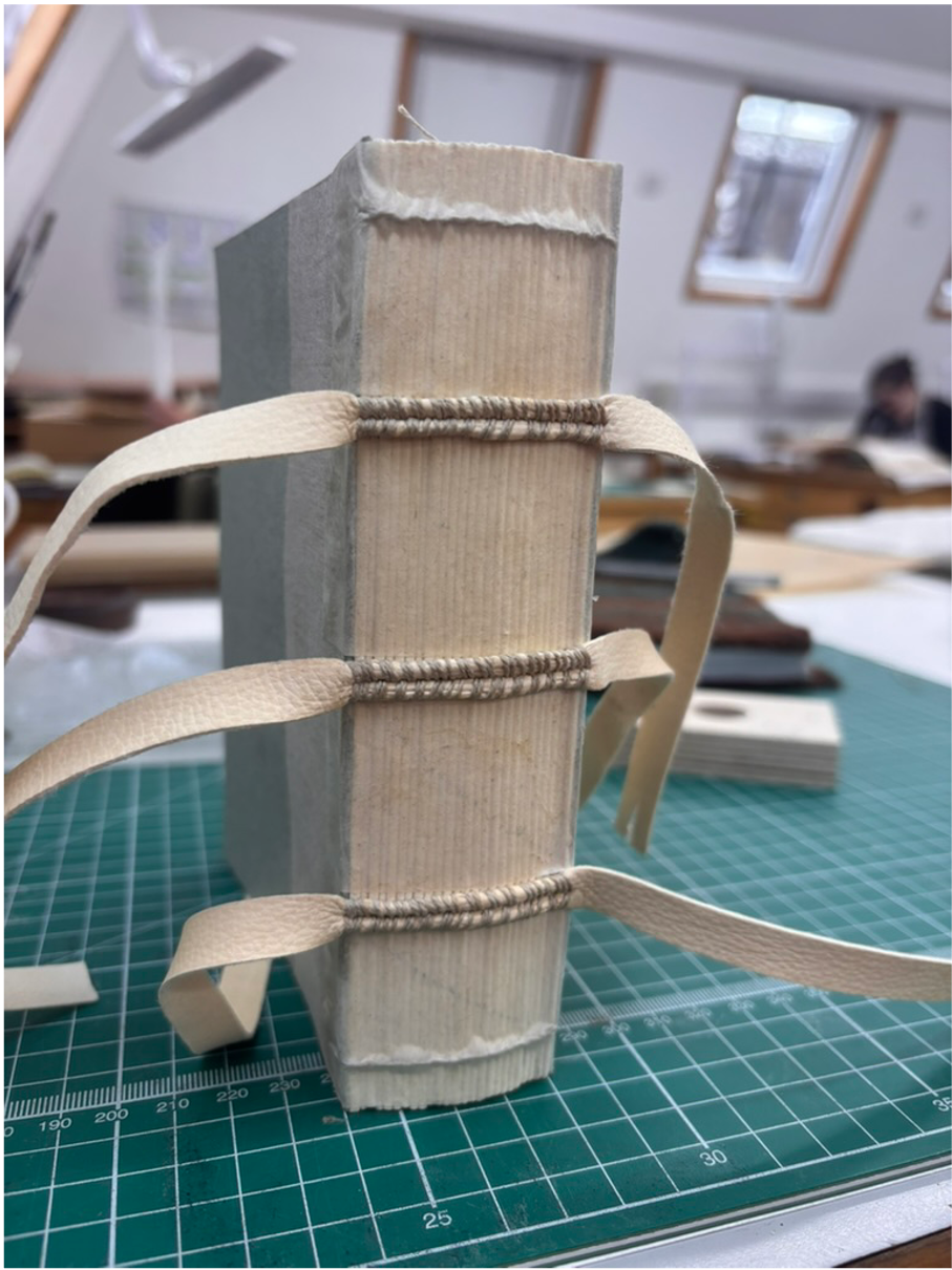 Conservation Bindings image 2